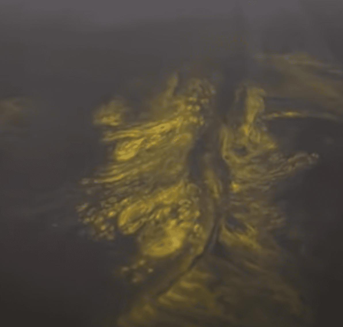 Black & Gold Designer metallic epoxy flooring example – stunning swirl pattern in Toronto